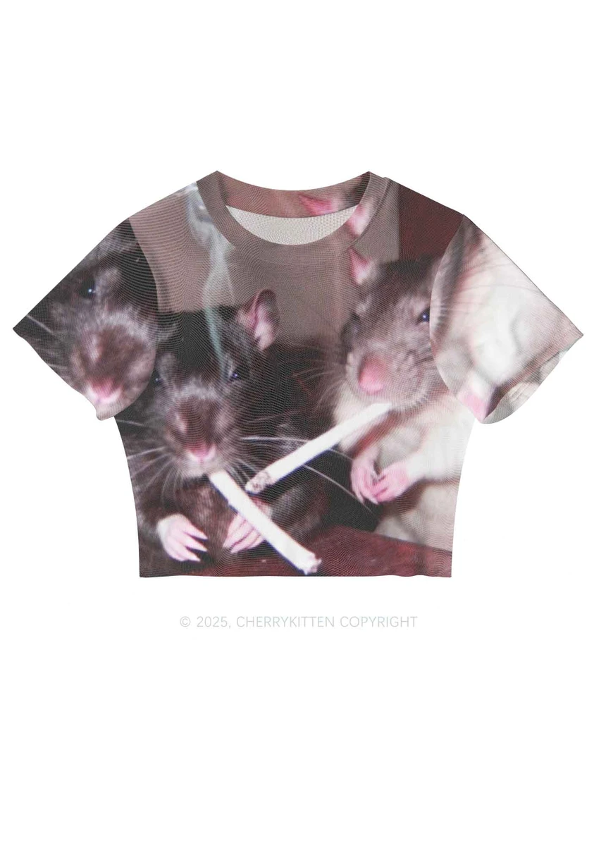 Smoking Rats Y2K Mesh Crop Top Cherrykitten