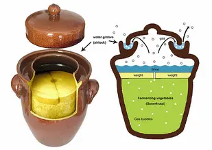 Simple Sauerkraut Recipe - Enhancing Your Health with Fermented Foods