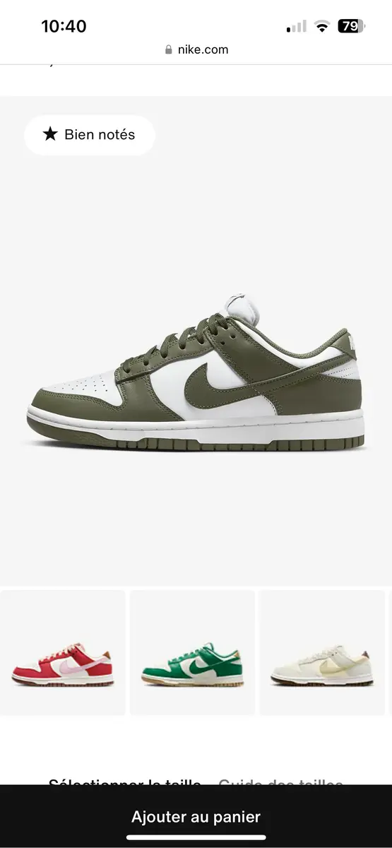 Chaussure Nike Dunk Low Premium pour femme