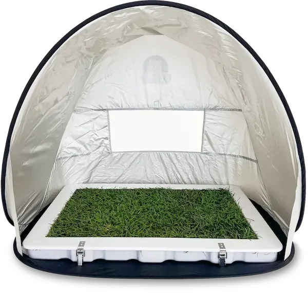 Potty Plant Canopee