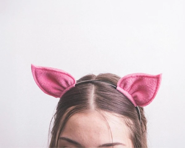 Oreilles de cochon 🐖