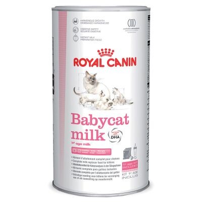 Lait maternisé Royal Canin Babycat pour chaton