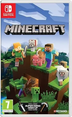 Nintendo Minecraft switch standard