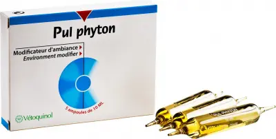 Pulphyton pour les nébulisations