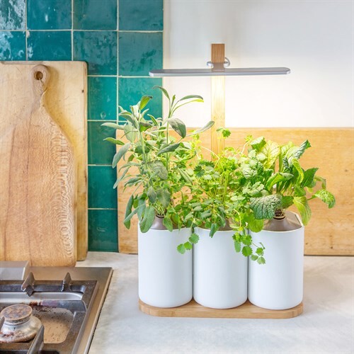 Jardin potager d'intérieur Lilo 4 