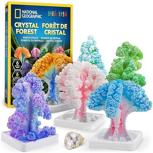 National Geographic Kit de Loisirs Créatifs pour Enfants – Kit de Culture de Cristaux, Faites Pousser 6 Arbres en Cristal en 6 Heures, Fournitures Artistiques, Géode, Kit STEM