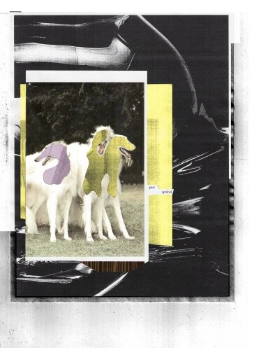 Whitegraph, Excursion Record SERIES 20xxi.8.27.M (LTR PB)