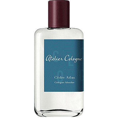 Cèdre Atlas