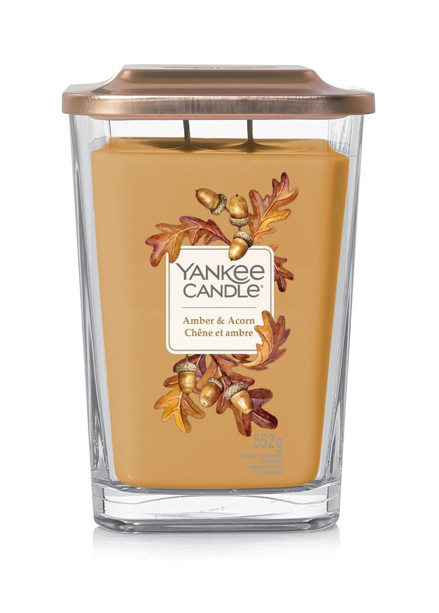 Chêne Et Ambre