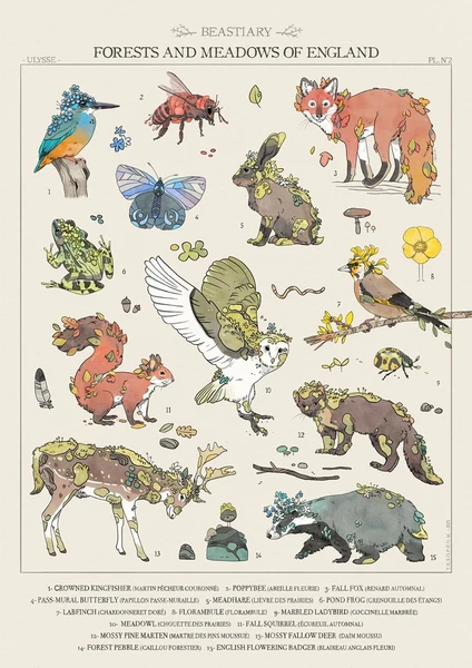 Forests and meadows of England (A3)