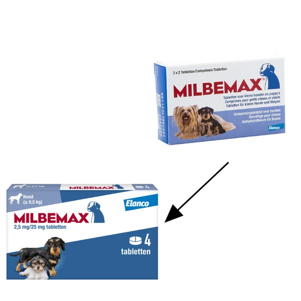 Vermifuge pour chien et chiot