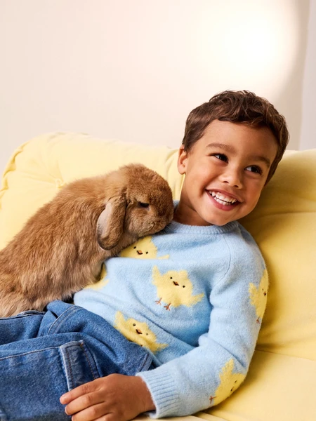 Blue Chick - Knitted Crew Neck Jumper (3mths-7yrs)