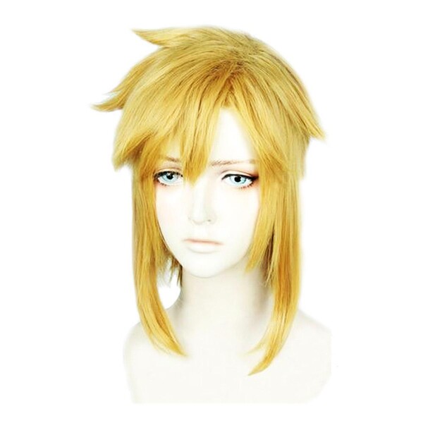 Déguisement Zelda Perruque Link
