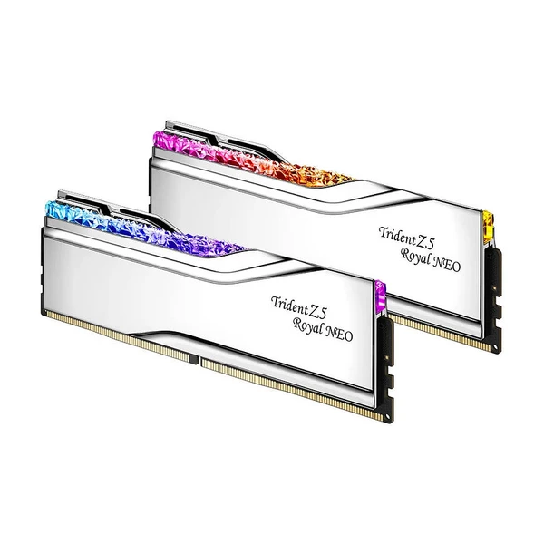 RAM