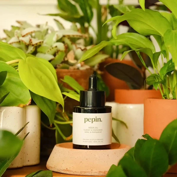 Huile de Neem - insecticide naturel 