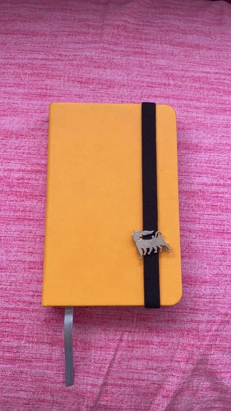 agenda