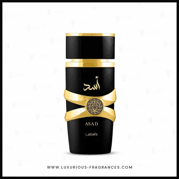Eau de parfum Asad 100ml – Lattafa