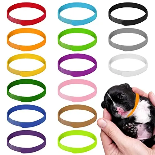 Colliers D'identification pour Chiots et Chatons