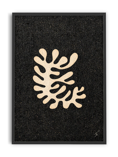 David Schmitt - Ode to the French