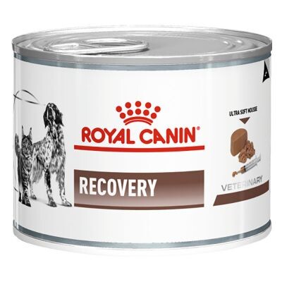 Royal Canin Veterinary Diet Recovery pour chat