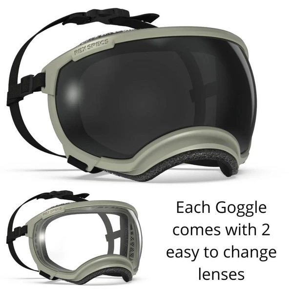 Rex Specs V2 Goggles - Eye Protection for Dogs | Podgy Paws