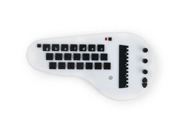 Minichord Synthesizer