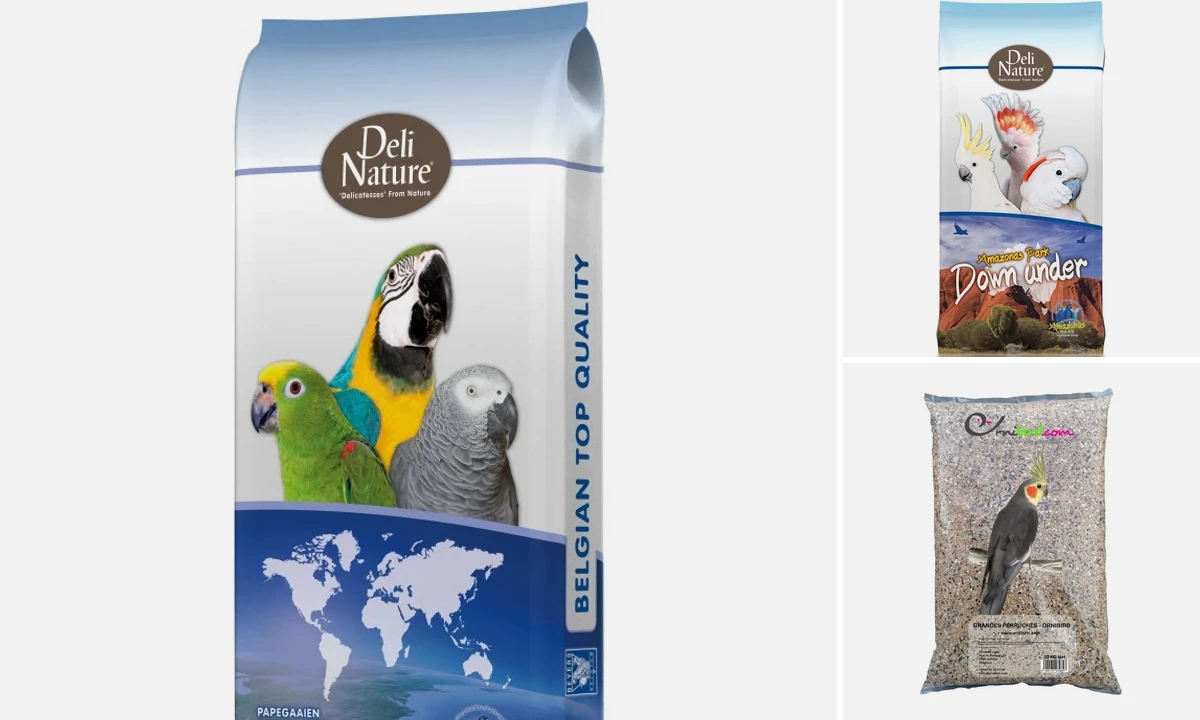 Le Paradis Ornithologique 62 