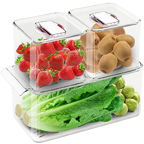 WAVELUX | Produce Saver Containers for Refrigerator