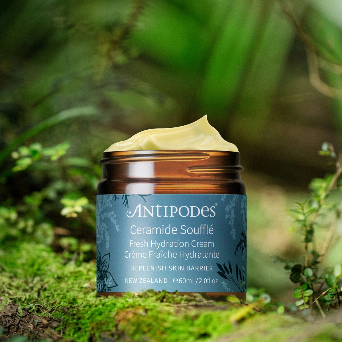 Culture Probiotic Gel Crème de Nuit Réparateur 60 ml | Antipodes