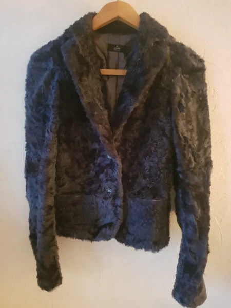 Veste fourure Icône design