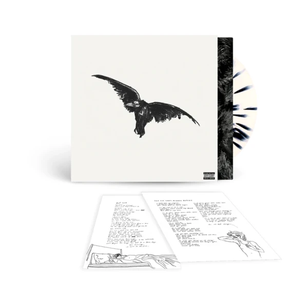 Kid Krow, Decomposed (5 Year Anniversary) LP - Store Conan Gray