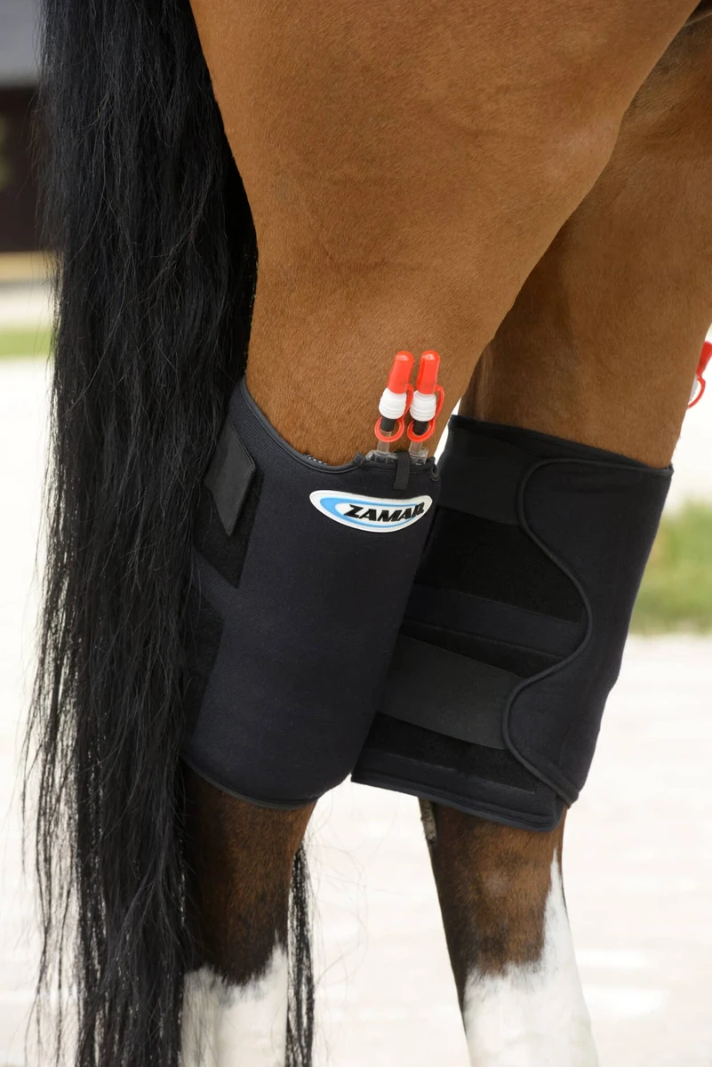 ZAMAR Enveloppes Jarrets