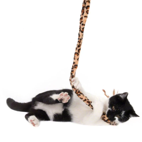 Canne à pêche Leo pour chat ► Acheter pas che
