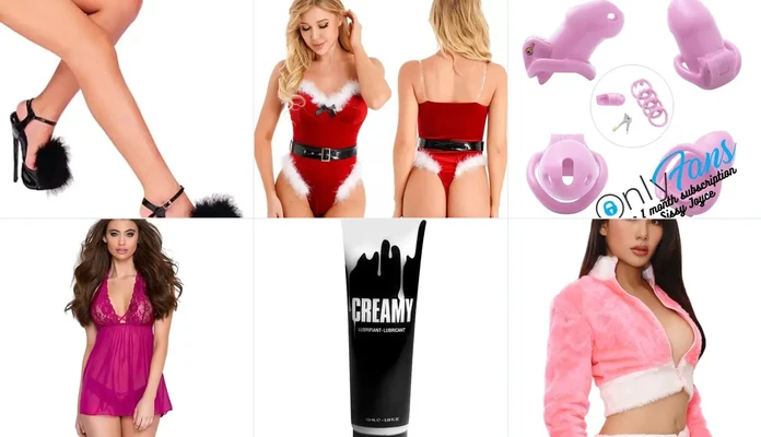 wishlist sissy