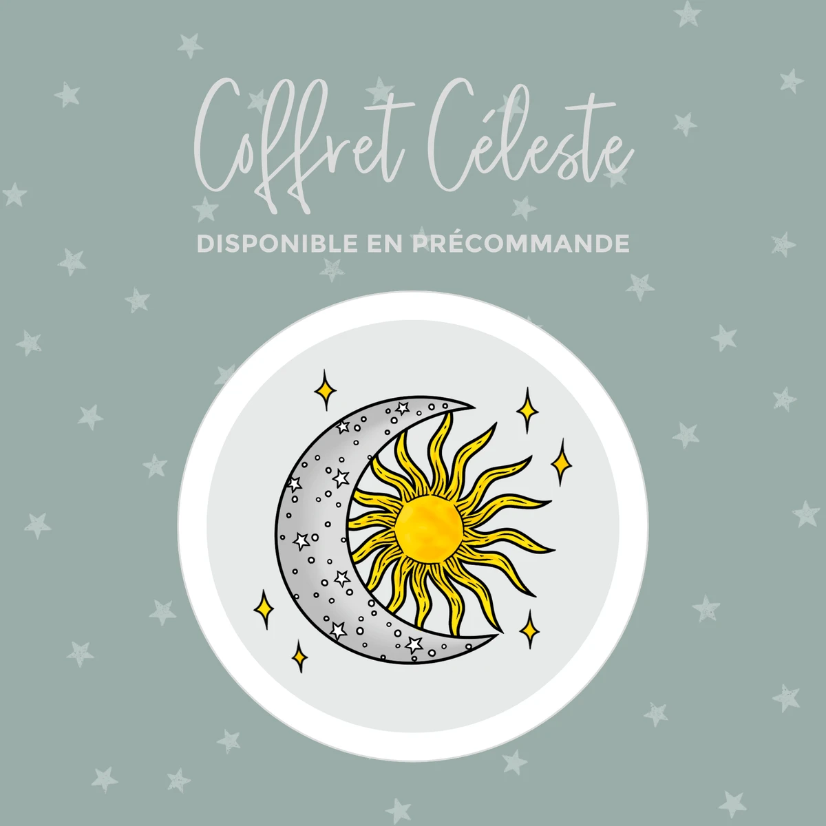 Céleste - Coffret #14