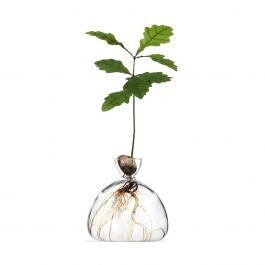 vase gland s - ilex studio