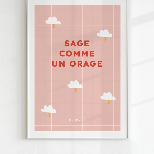 Affiche Sage comme un orage