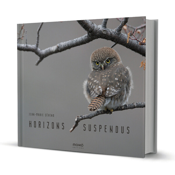 Horizons suspendus