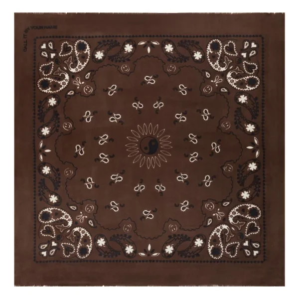 Etole Paisley Laine et Soie | Marron