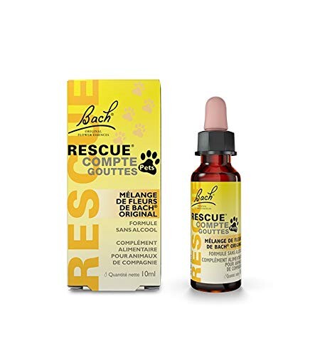 Fleur de bach pour nos animaux angoissés 