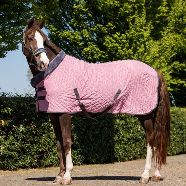 HB Couverture de Concours Velvet Sunset Old Pink