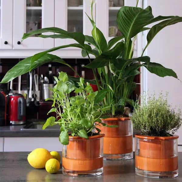 Pot intelligent en céramique - Wet Pot Plantes - Les Raffineurs