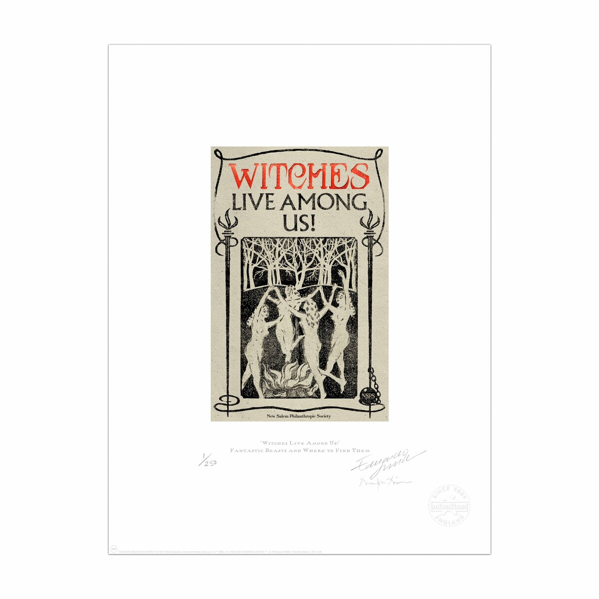 Witches Live Among Us! Print - MinaLima
