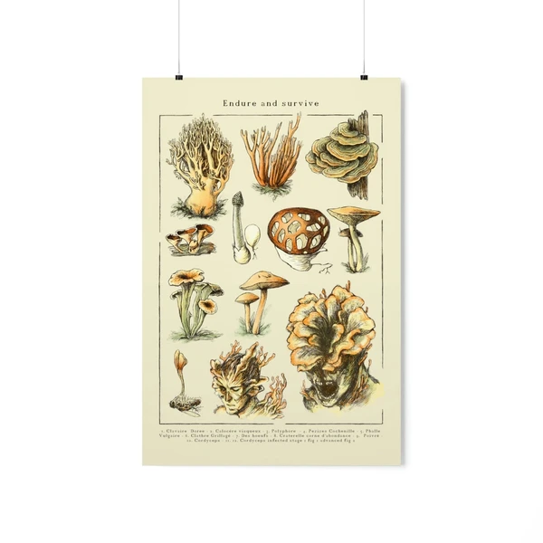 Cordyceps Poster - The last of us Art Print - Joel and Ellie - Endure and survive - Mushrooms wall Art