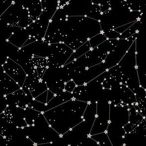 Constellations - black background Fabric | Spoonflower