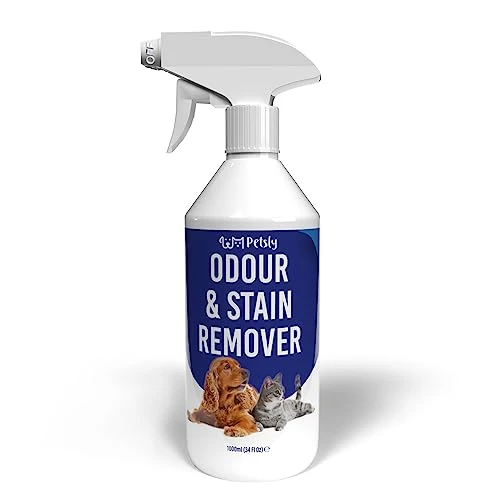 PETSLY Nettoyant Enzymatique - 1L - Élimine les Odeurs, Taches &amp; Résidus - Non Tachant - Fragrance de Cannelle - Destructeur Odeur Urine Chat: Maison, Litière, Lits, Tapis - Fabriqué en Allemagne