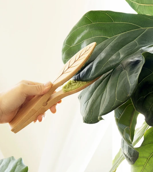 Pince de nettoyage pour feuilles