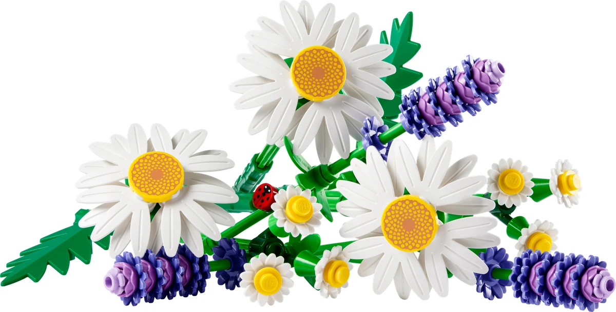 Marguerites