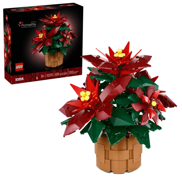 L’étoile de Noël