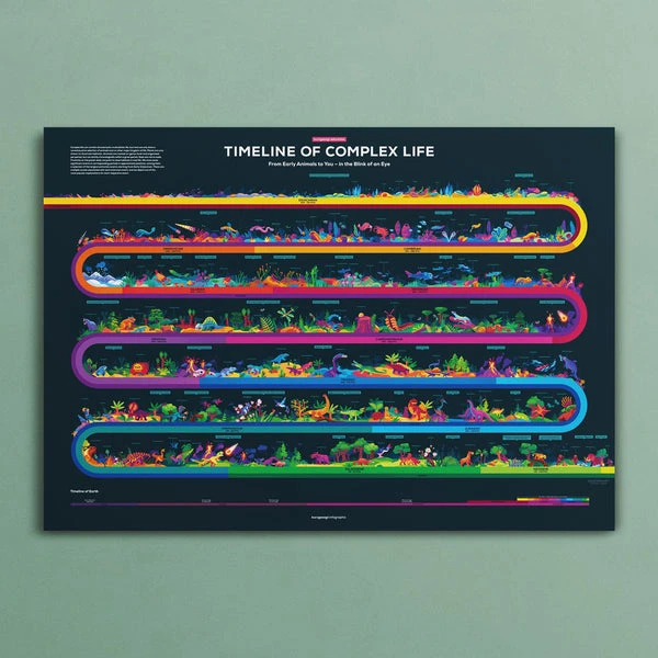 Timeline of Complex Life Poster
